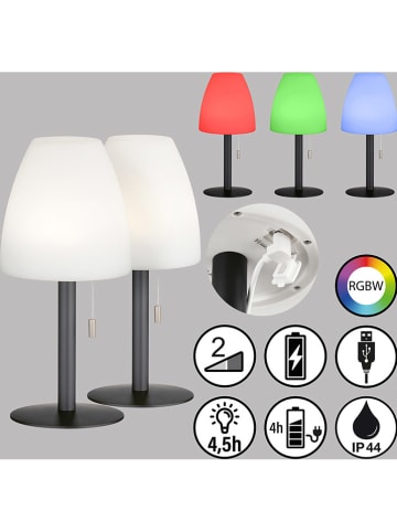 FH Lighting LED-Tischleuchte "Fiumara" in Weiß/ Schwarz - (H)30 x Ø 14 cm