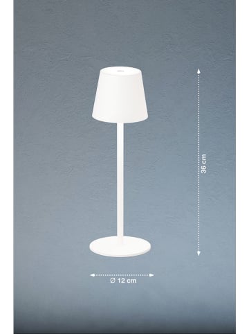 FISCHER & HONSEL LED-Tischleuchte "Tropea" in Weiß - (H)38 x Ø 12 cm