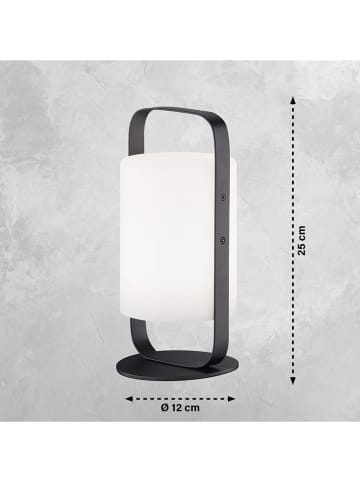 FISCHER & HONSEL Ledbuitenlamp "Casoli" wit - (H)25 x Ø 12 cm