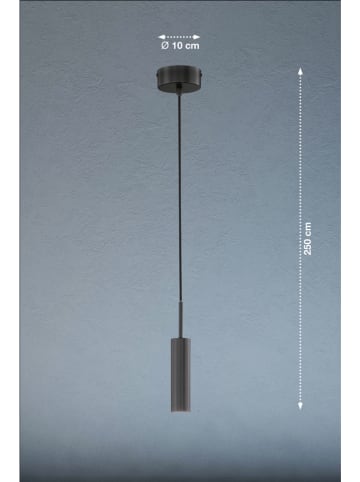 FH Lighting Ledpendellamp "Stina" zwart - Ø 10 cm x (H)250 cm