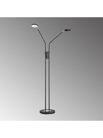 FH Lighting LED-Standleuchte in Schwarz - (H)150 cm