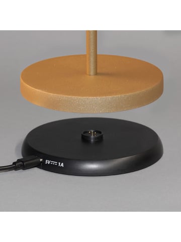 FH Lighting LED-Tischleuchte "Cosenza 2.0" in Gold/ Anthrazit - (H)34 x Ø 11 cm