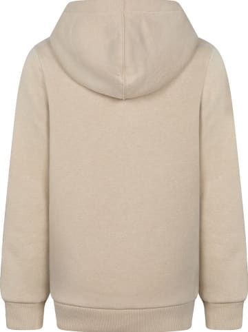 Converse Hoodie in Beige