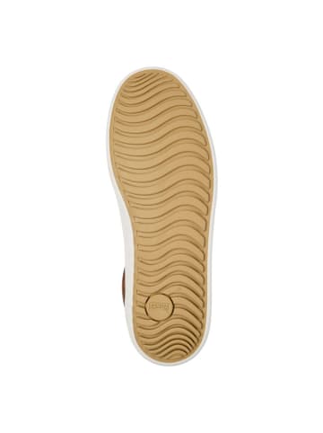 Camper Leder-Sneakers in Braun