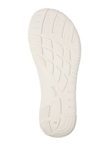 Camper Sneakers "Path" in Creme