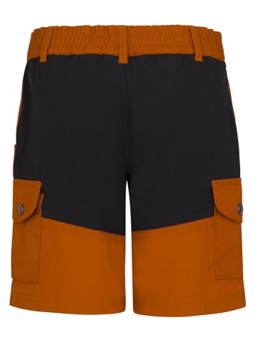 Trollkids Trekkingshorts "Hammerfest" in Orange