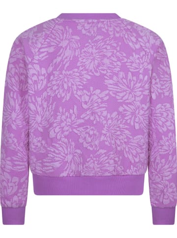 Converse Sweatshirt in Lila