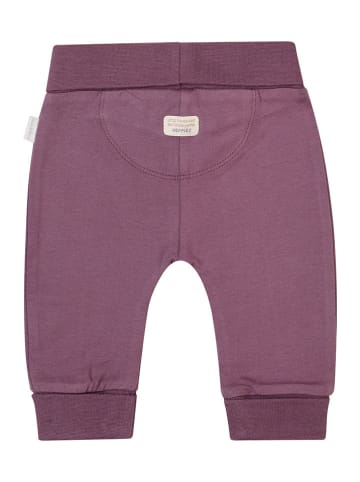 Noppies Hose "Gorcy" in Lila