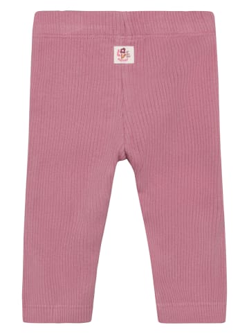 Noppies Leggings in Pink