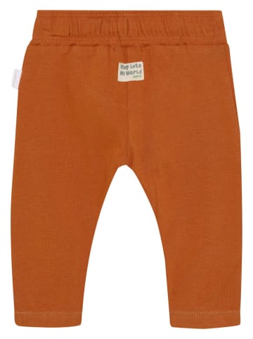 Noppies Spodnie "Summit" w kolorze pomarańczowym