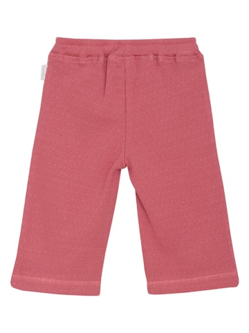 Noppies Hose in Pink