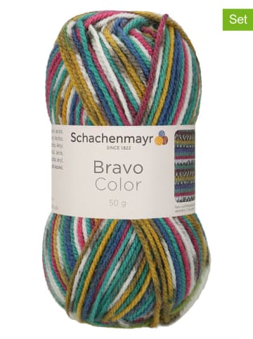 Schachenmayr since 1822 20er-Set: Kunstfasergarne ''Bravo Color'' in Bunt - 20x 50 g