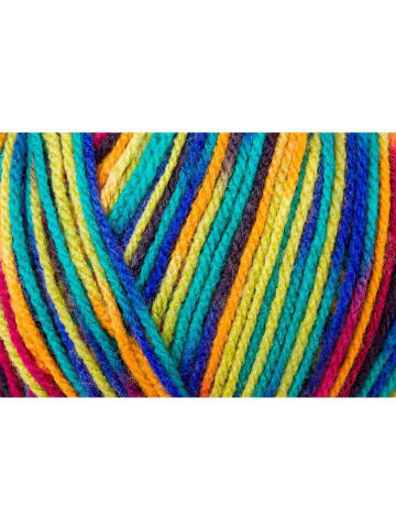 Schachenmayr since 1822 20-delige set: synthetische garen "Bravo Color" meerkleurig - 20x 50 g