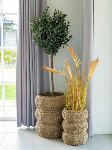 House Nordic Kosze (3 szt.) w kolorze jansobrązowym