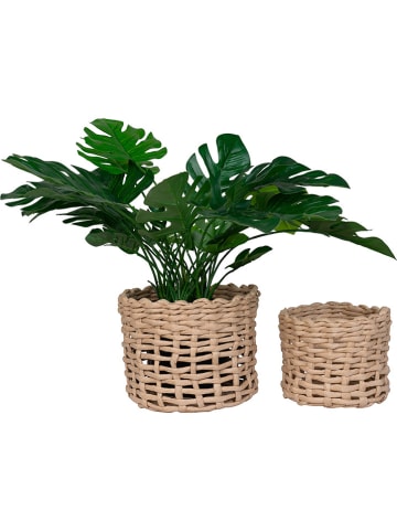 House Nordic 2-delige set: manden "Penela" lichtbruin