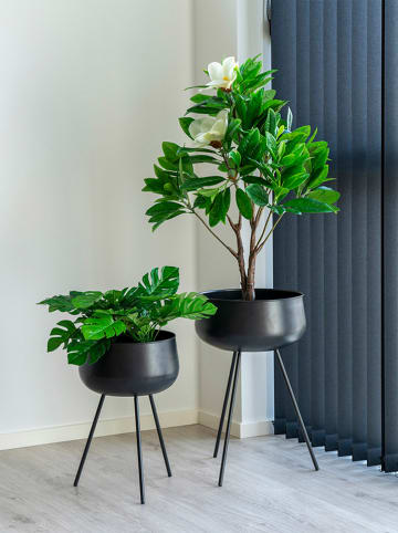 House Nordic 2er-Set: Blumentöpfe in Schwarz
