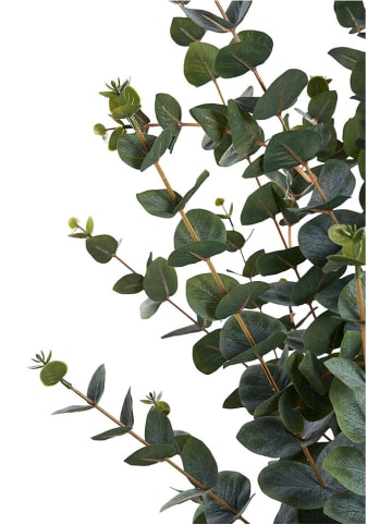 House Nordic Kunstpflanze "Eucalyptus Tree" in Grün - (H)120 cm