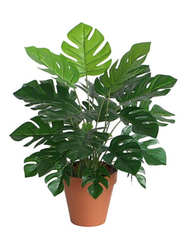 House Nordic Kunstplant donkergroen - (H)45 cm