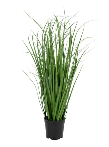 House Nordic Sztuczna trawa Poa - wys. 68 cm