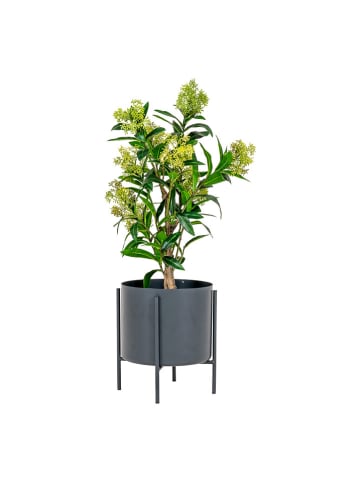 House Nordic Sztuczna roślina "Skimmia Tree" w kolorze zielonym - wys. 75 cm