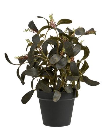 House Nordic Sztuczna roślina w kolorze zielonym - wys. 35 cm