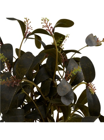 House Nordic Sztuczna roślina w kolorze zielonym - wys. 35 cm