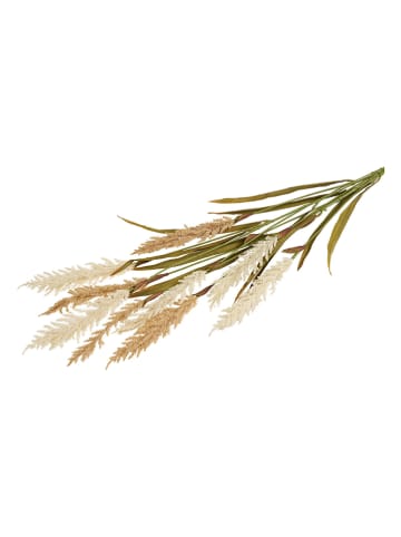 House Nordic Ziergras in Beige/ Grün - (H)130 cm