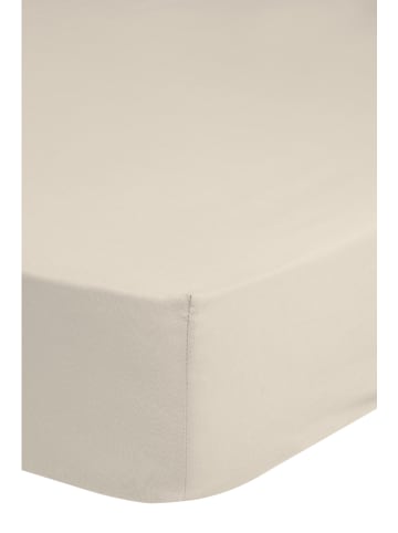 Hip Jersey hoeslaken "Emotion" crème