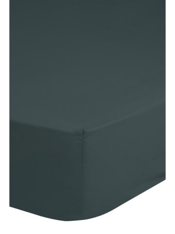 Good Morning Hoeslaken "Good Morning" groen