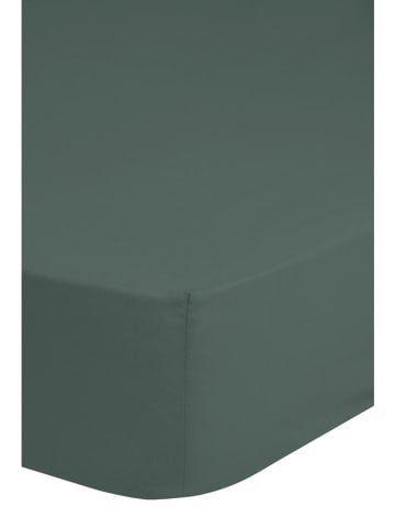 Good Morning Hoeslaken "Good Morning" groen