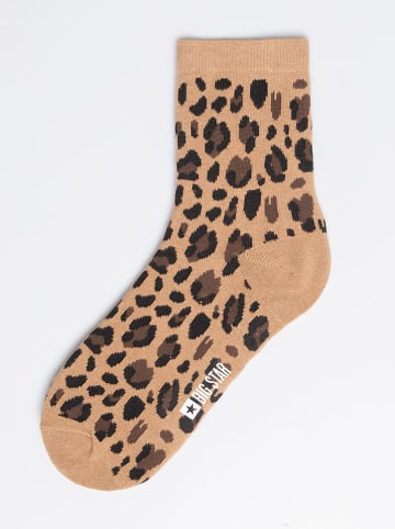 BIG STAR Socken in Hellbraun