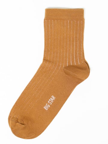 BIG STAR Socken in Hellbraun