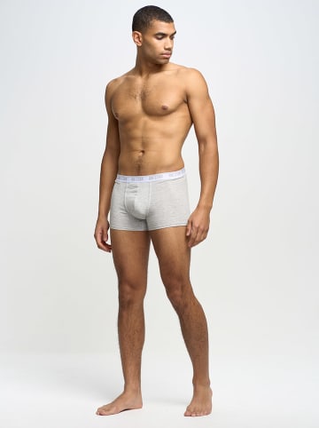 BIG STAR Boxershorts in Grau