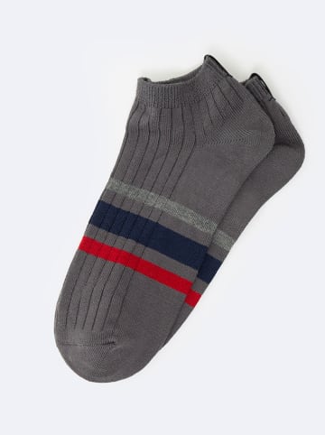 BIG STAR Skarpety w kolorze szarym