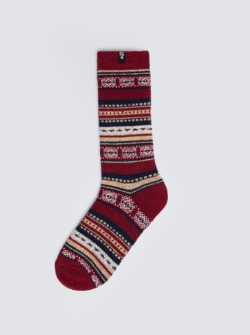 BIG STAR Socken in Rot