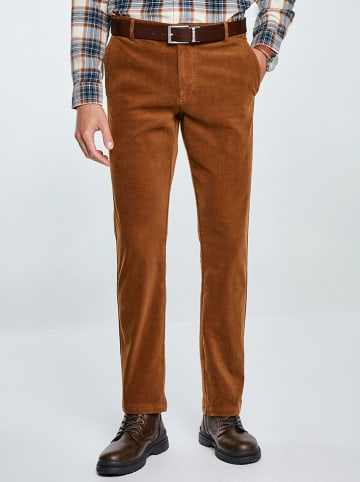 BIG STAR Chino "Trevis" in Hellbraun