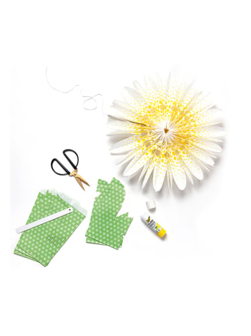 folia PAPER Bastelset "Papiertütenblumen: Daisy love" in Creme/ Grün