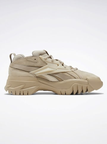 Reebok Leder-Sneakers "Club C Cardi V2" in Beige