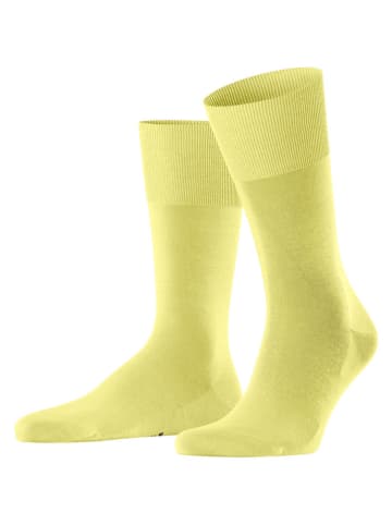Falke Sokken geel