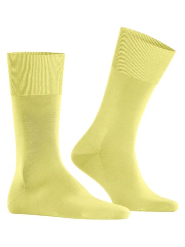 Falke Socken in Gelb