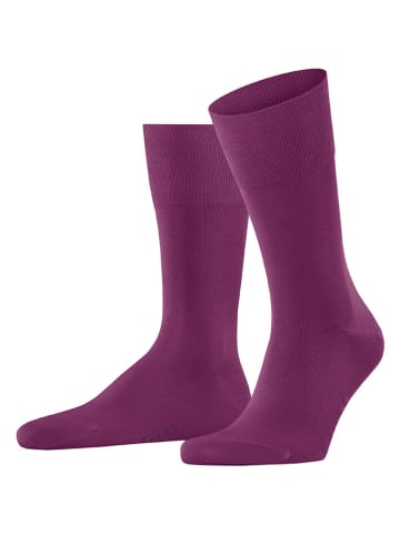 Falke Socken "Tiago" in Lila
