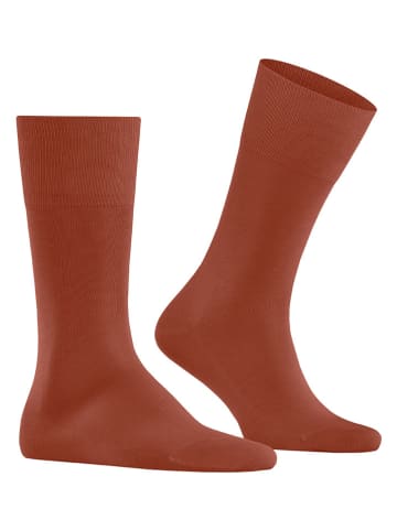 Falke Skarpety "Tiago" w kolorze bordowym