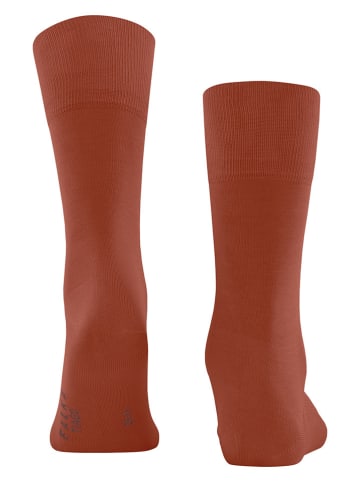 Falke Socken "Tiago" in Bordeaux