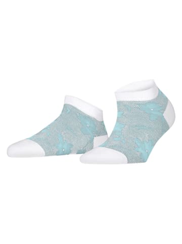 ESPRIT Socken in Hellblau