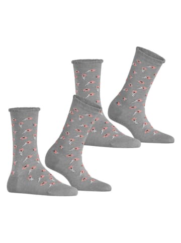 ESPRIT 2er-Set: Socken in Grau