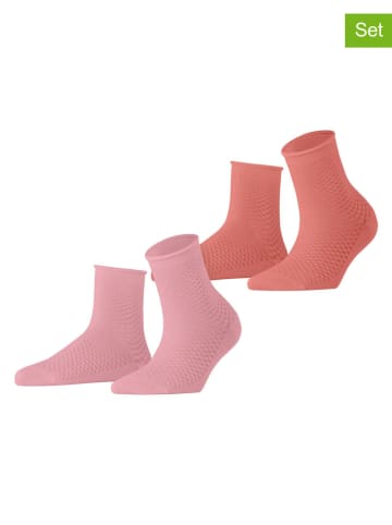 ESPRIT 2-delige set: sokken lichtroze/lichtbruin