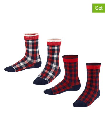ESPRIT 2er-Set: Socken "Check" in Bordeaux
