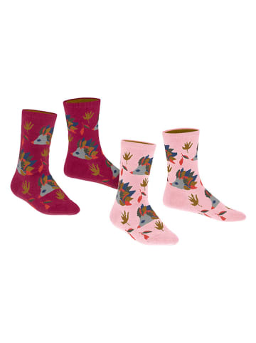 ESPRIT 2-delige set: sokken "Hedgehog" rood/lichtroze