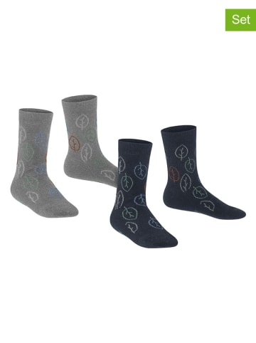 ESPRIT 2-delige set: sokken ''Forest'' grijs/blauw