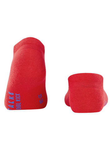 Falke Socken in Rot